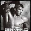 Beckham avatar 4