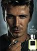 Instinct 2